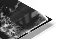 V827 HD Metal print