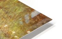 V833 HD Metal print