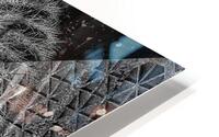 V836 HD Metal print