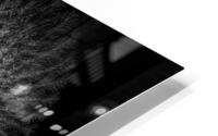 V853 HD Metal print