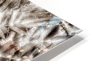 V856 HD Metal print