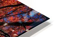 V877 HD Metal print