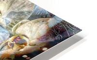 V895 HD Metal print