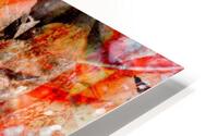 V901 HD Metal print