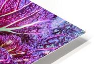 V909 HD Metal print