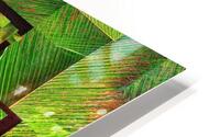  V913 HD Metal print
