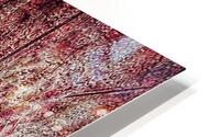 V917 HD Metal print