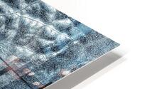 V919 HD Metal print