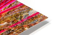 V923 HD Metal print