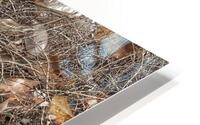 V927 HD Metal print