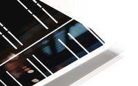 V943 HD Metal print