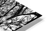 V970 HD Metal print