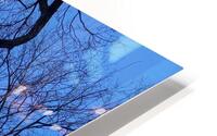 V971 HD Metal print