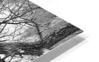 V972 HD Metal print