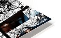 V977 HD Metal print