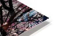 V992 HD Metal print