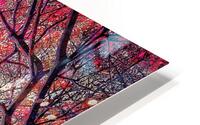 V995 HD Metal print