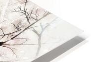 V996 HD Metal print