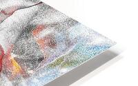 V999 HD Metal print