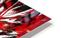 V1017 HD Metal print