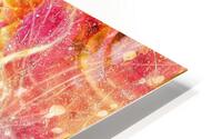 V1029 HD Metal print