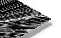 V1030 HD Metal print