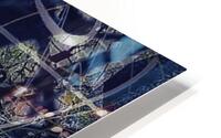 V1037 HD Metal print