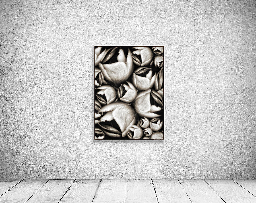 V1123 Wall Preview