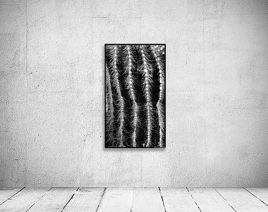 V1149 Wall Preview