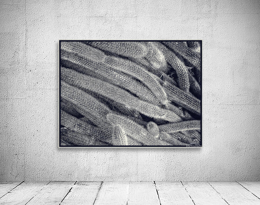 V1169 Wall Preview