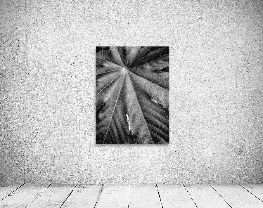 V1201 Wall Preview