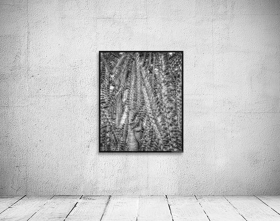V1215 Wall Preview