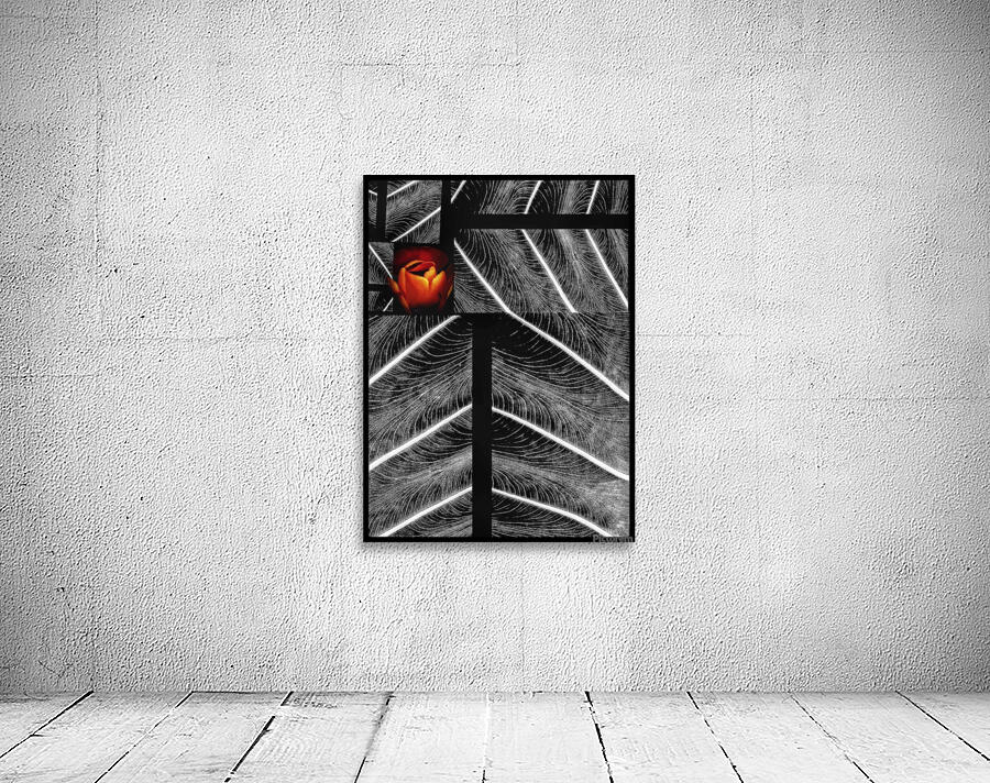 V1269 Wall Preview