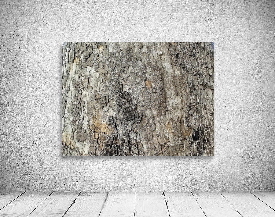 V1278 Wall Preview