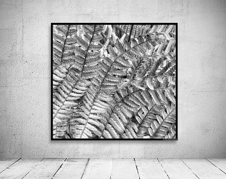 V1289 Wall Preview