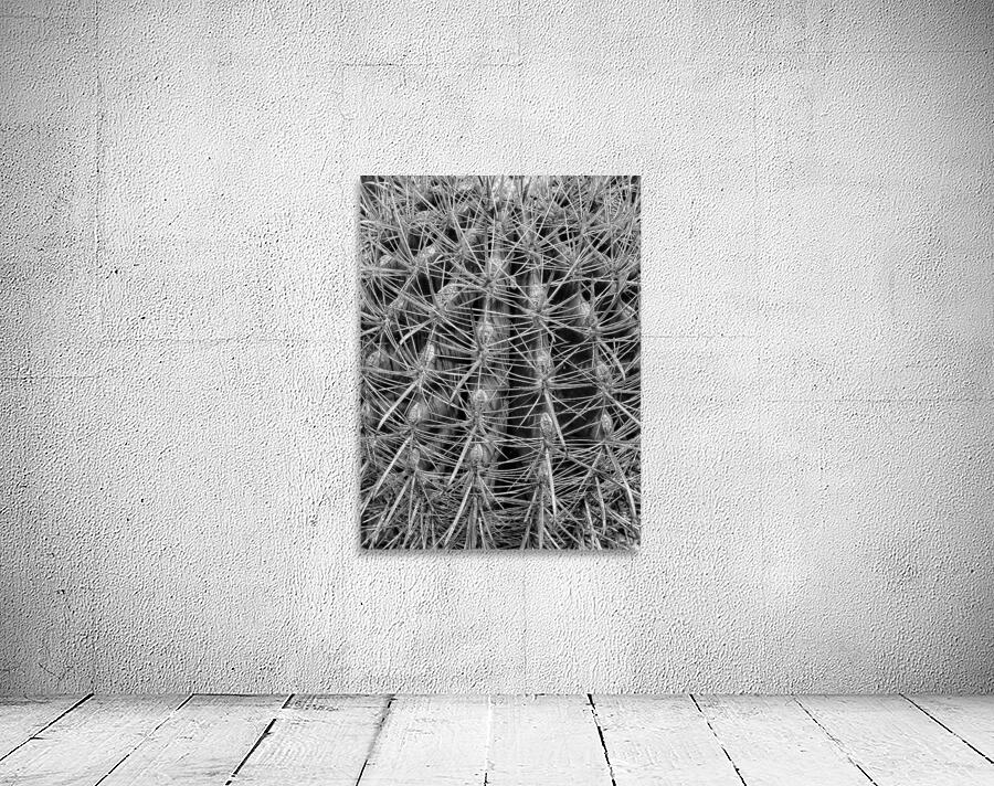 V1346 Wall Preview