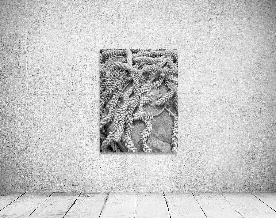 V1348 Wall Preview