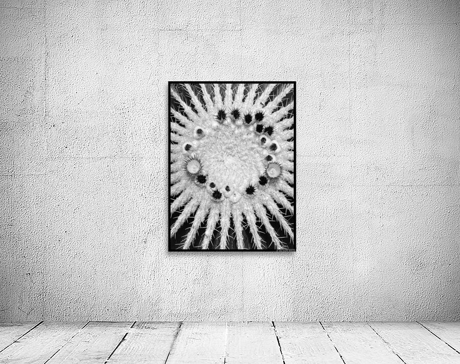 V1352 Wall Preview