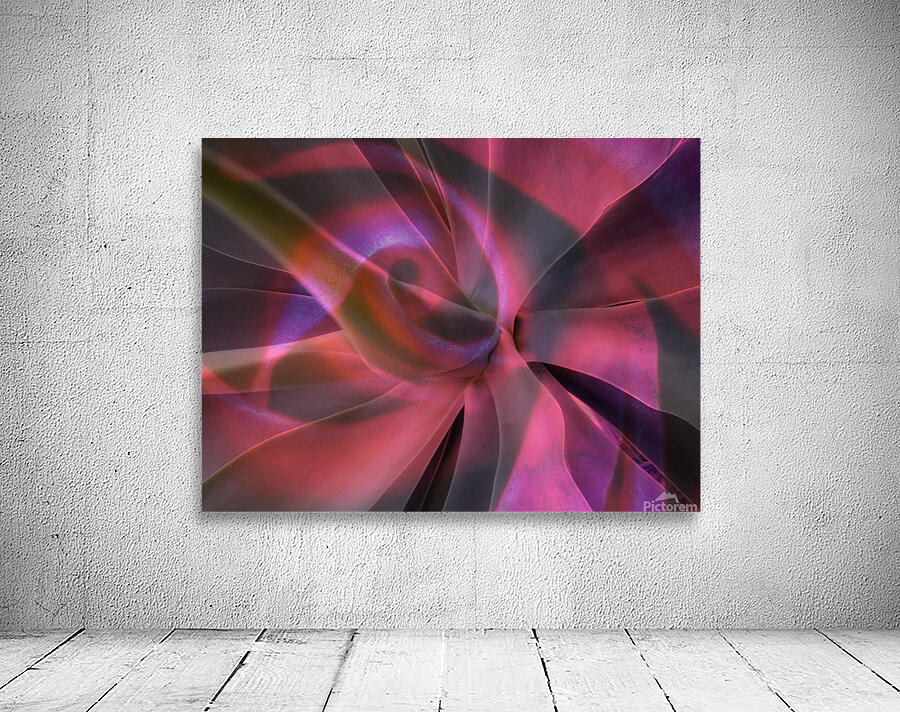 V1604 Wall Preview