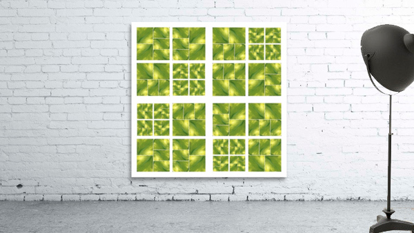 V02 Wall Preview