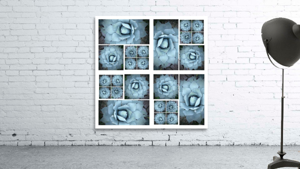 V05 Wall Preview