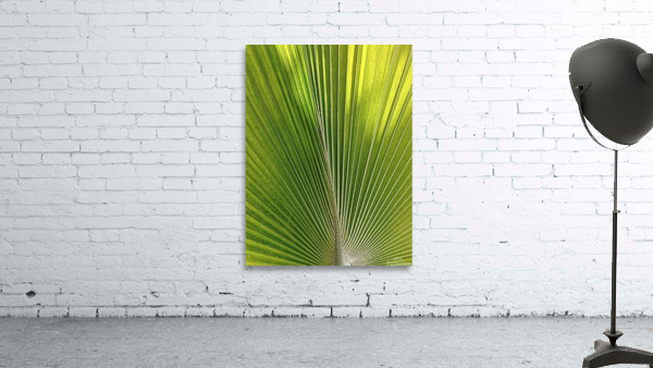 V08 Wall Preview