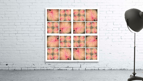 V33 Wall Preview