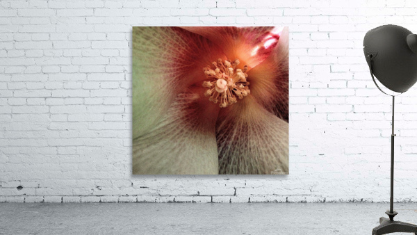 V70 Wall Preview