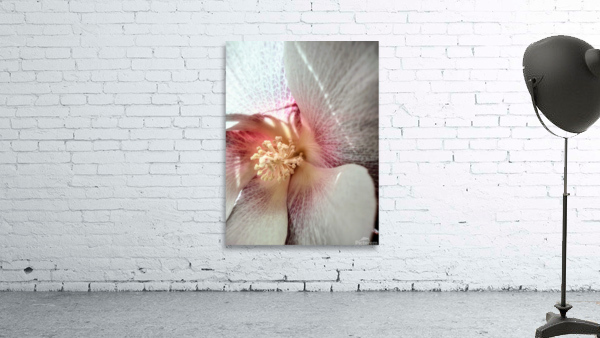 V72 Wall Preview
