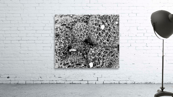 V123 Wall Preview