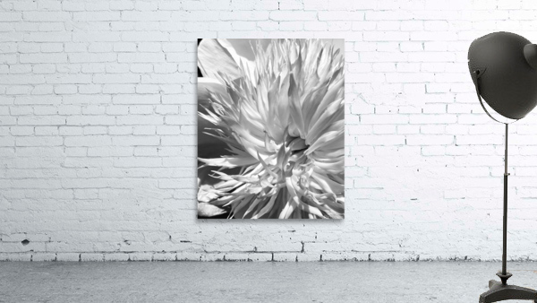 V133 Wall Preview
