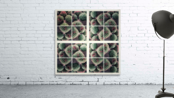 V207 Wall Preview