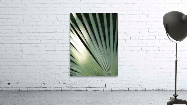 V214 Wall Preview