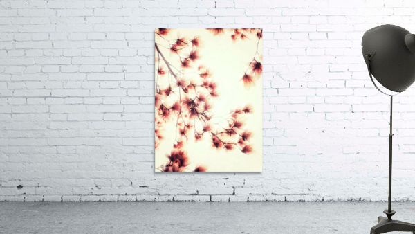 V224 Wall Preview